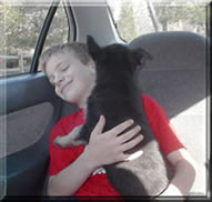 Junior_Handler_puppies